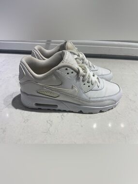 Nike Air Max sneakers